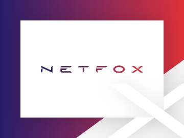 Branding dla firmy NETFOX